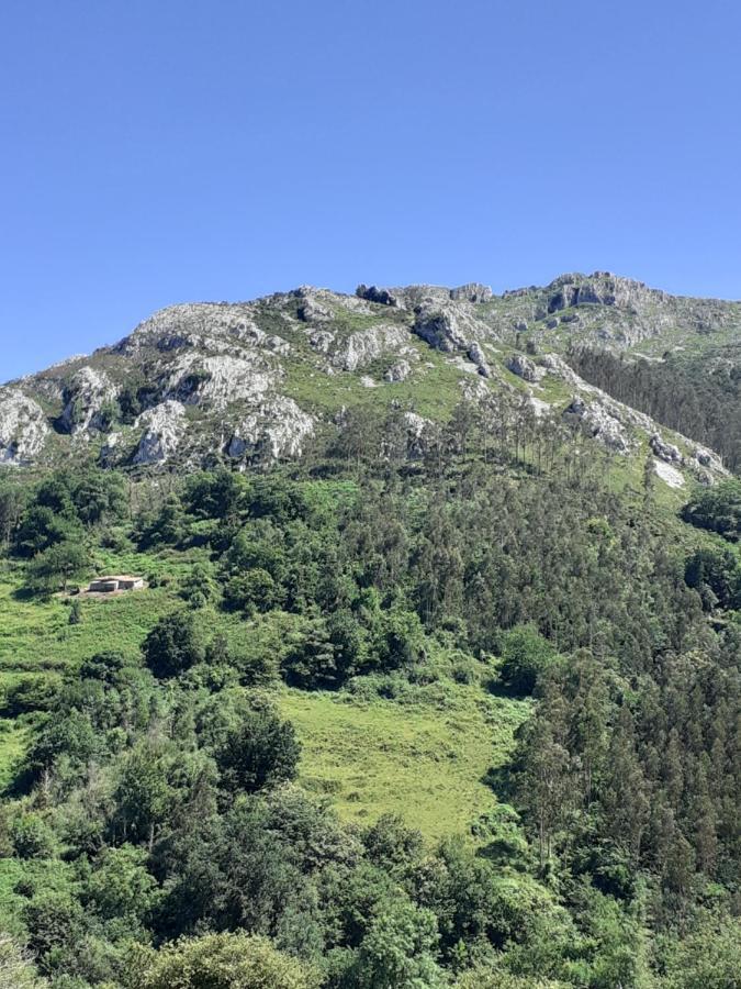 La Vierta Casa Rural Agroturismo Рибадесела Екстериор снимка
